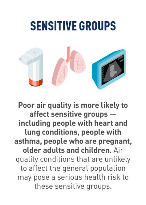 are dogs sensitive to poor air quality
